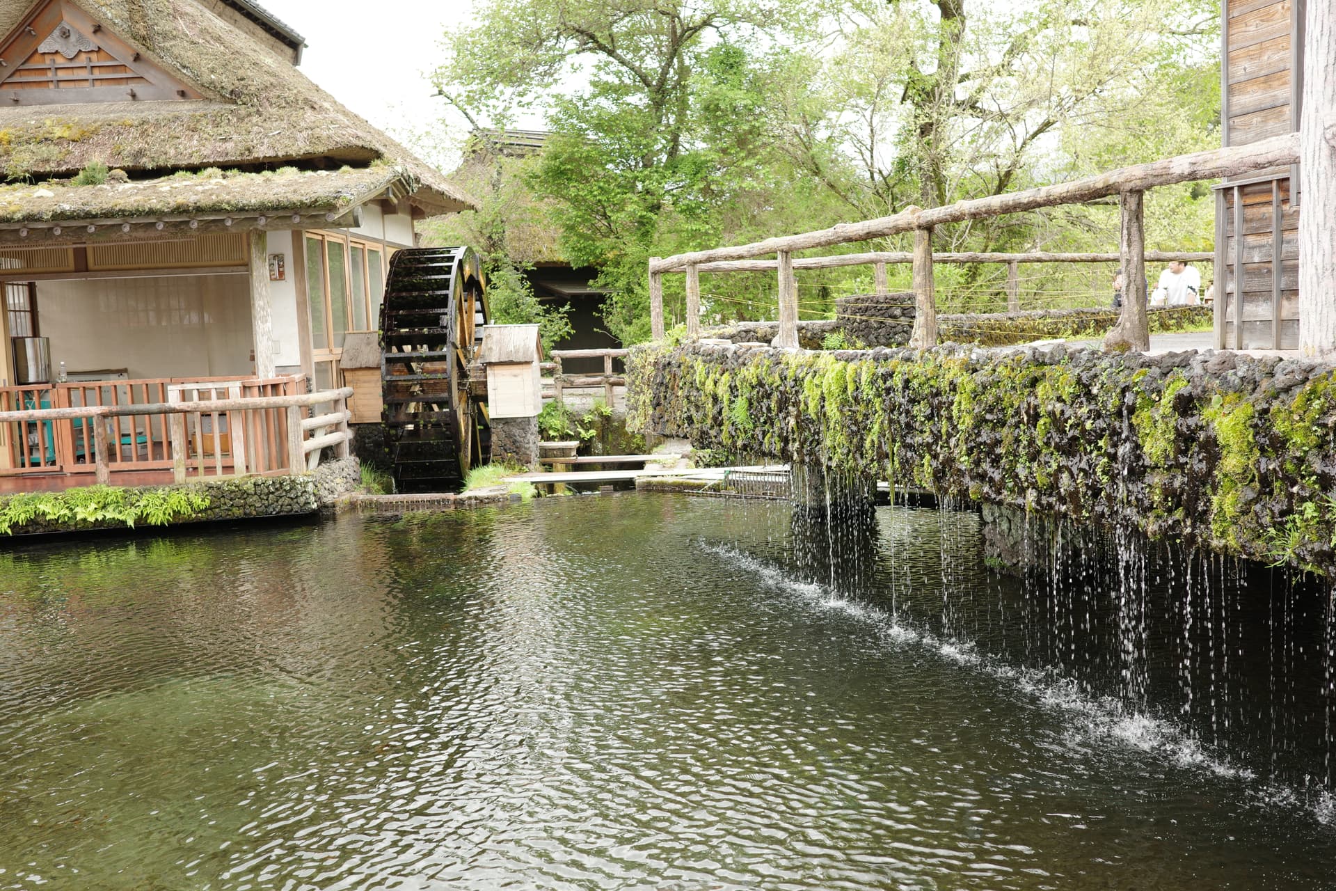 忍野八海での1枚