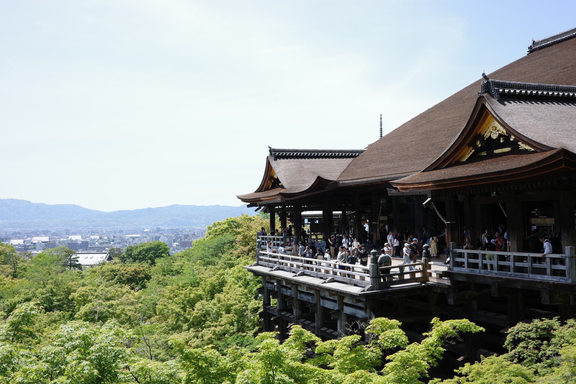 夏日の清水寺